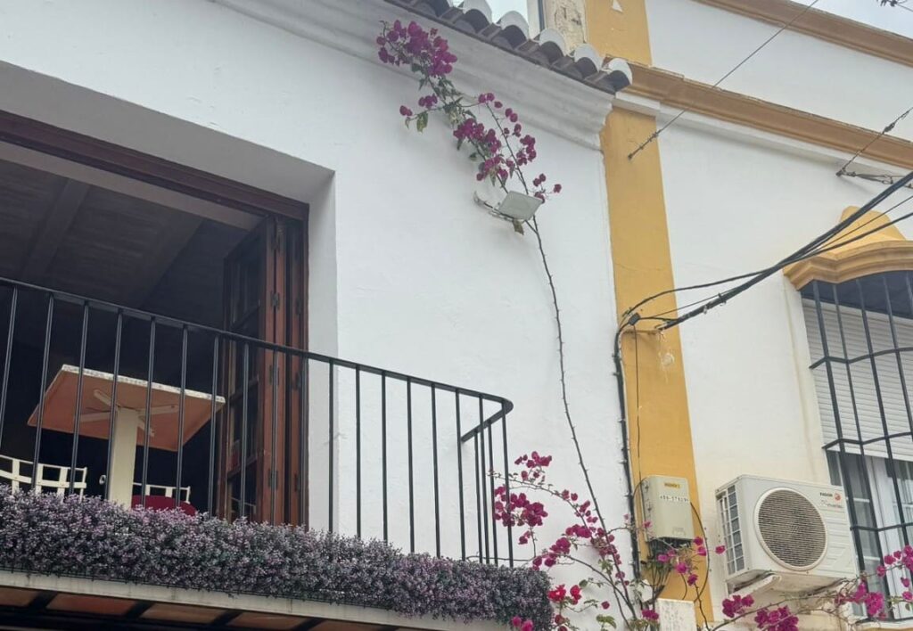 wall and roof cleaning services in spain
