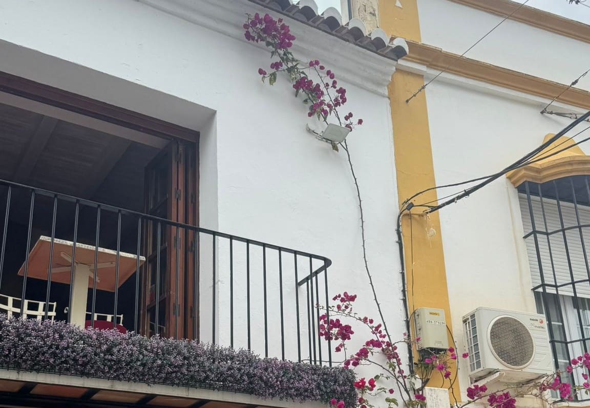wall and roof cleaning services in spain